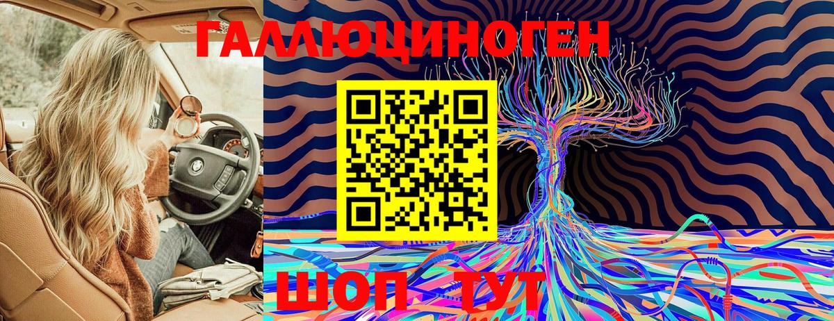 Псилоцибиновые грибы мицелий Находка