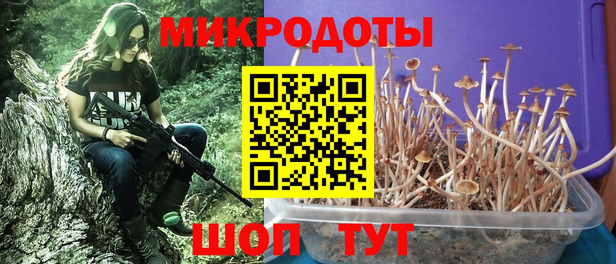 Псилоцибиновые грибы Psilocybine cubensis  Псилоцибиновые грибы MAGIC MUSHROOMS  Находка  Вход с VPN 